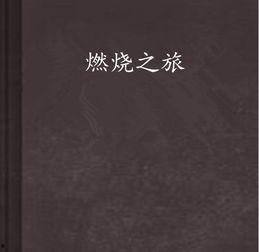 燃烧之旅,探寻火焰的奥秘与人类文明的演进