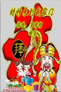 我家来了只财神猫,财运亨通好运连连