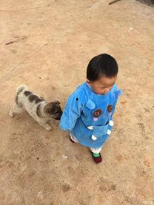 带我回家 2018,2018年温馨感人的归途之旅